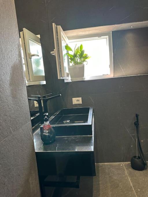 Green Apartment Tirana Bagian luar foto